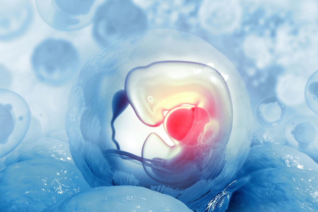 Un mini-utérus intelligent en 3D pour aider femmes à concevoir ?