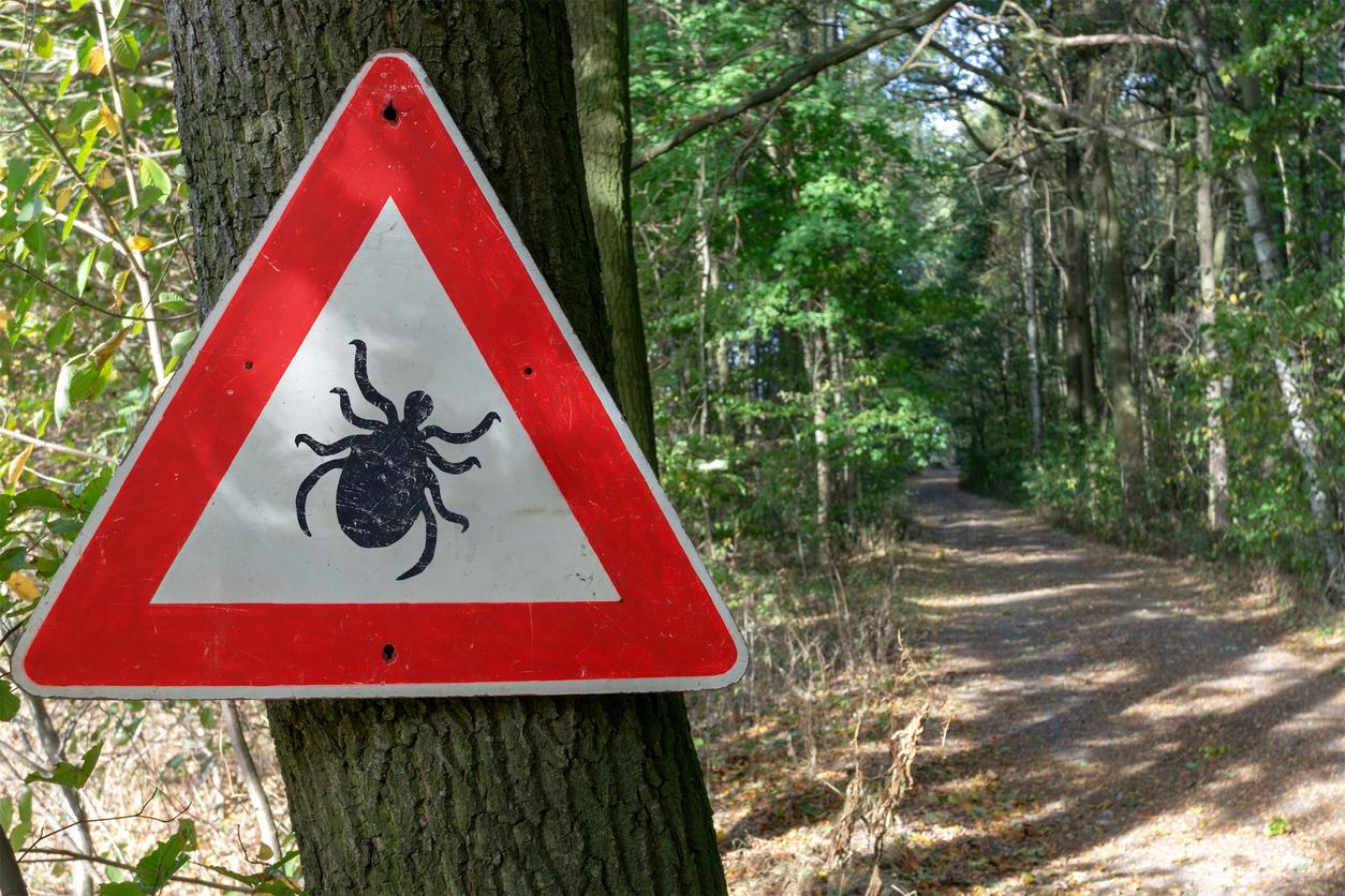 Maladie de Lyme : aux Etats-Unis, les tiques ont-elles été utilisées comme arme biologique ? 
