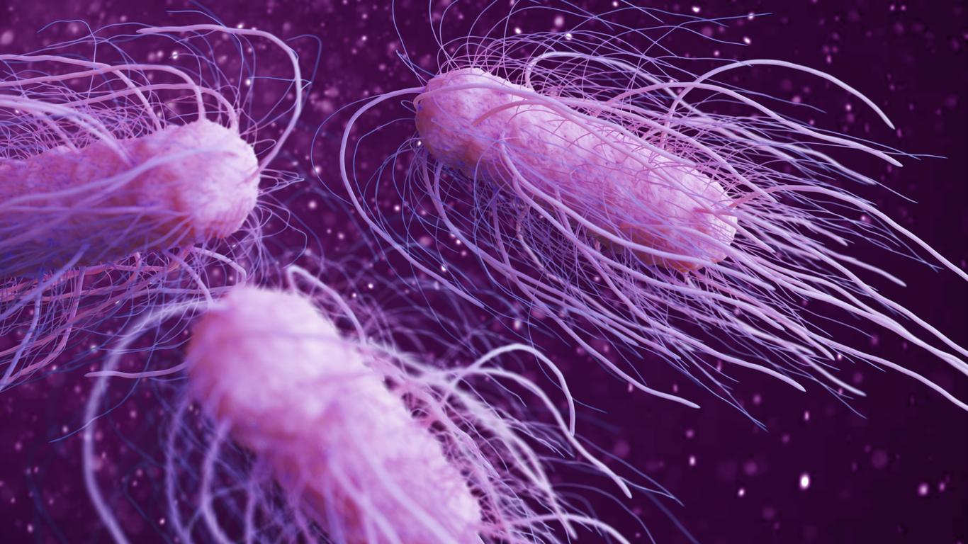 Au Japon, 2 super-bactéries responsables de la mort de 8 000 personnes