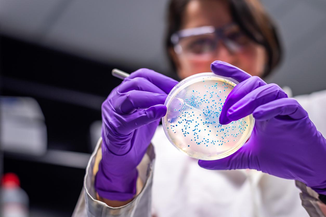A skin bacteria could help us fight antibiotic resistance