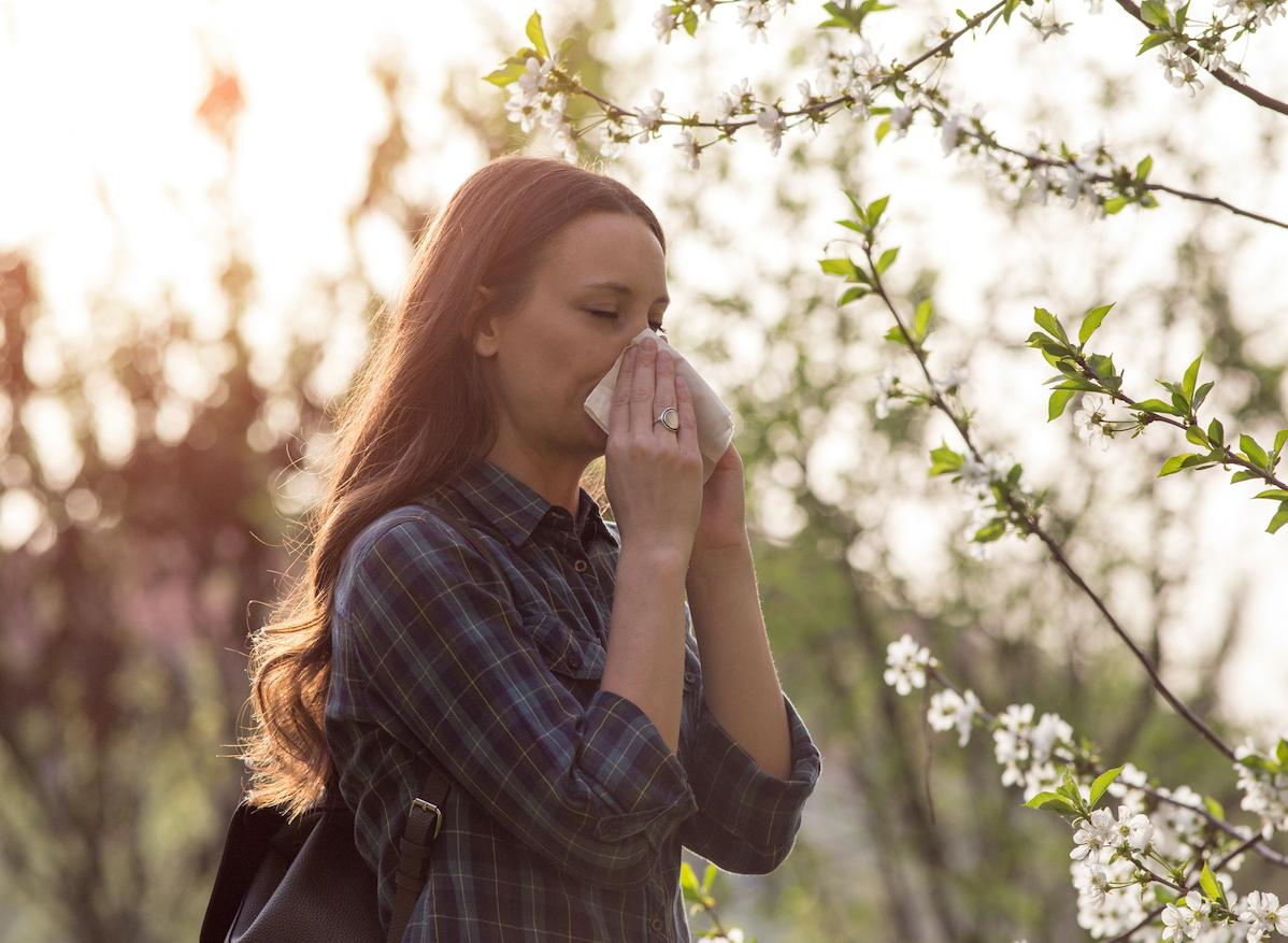 Allergie au pollen : quasiment toute la France classée zone à risque