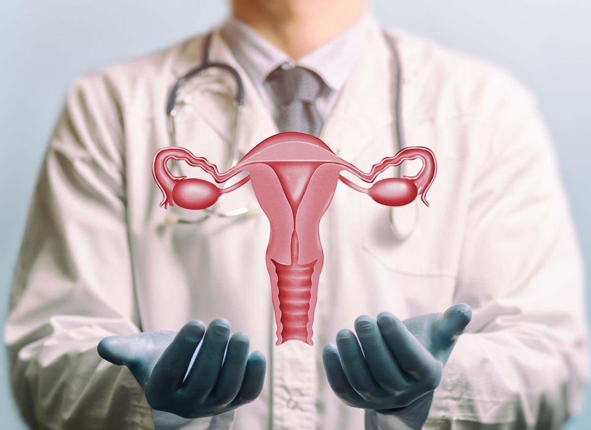 Cancer de l'endomètre : le microbiote vaginal serait un bon indicateur lors du dépistage