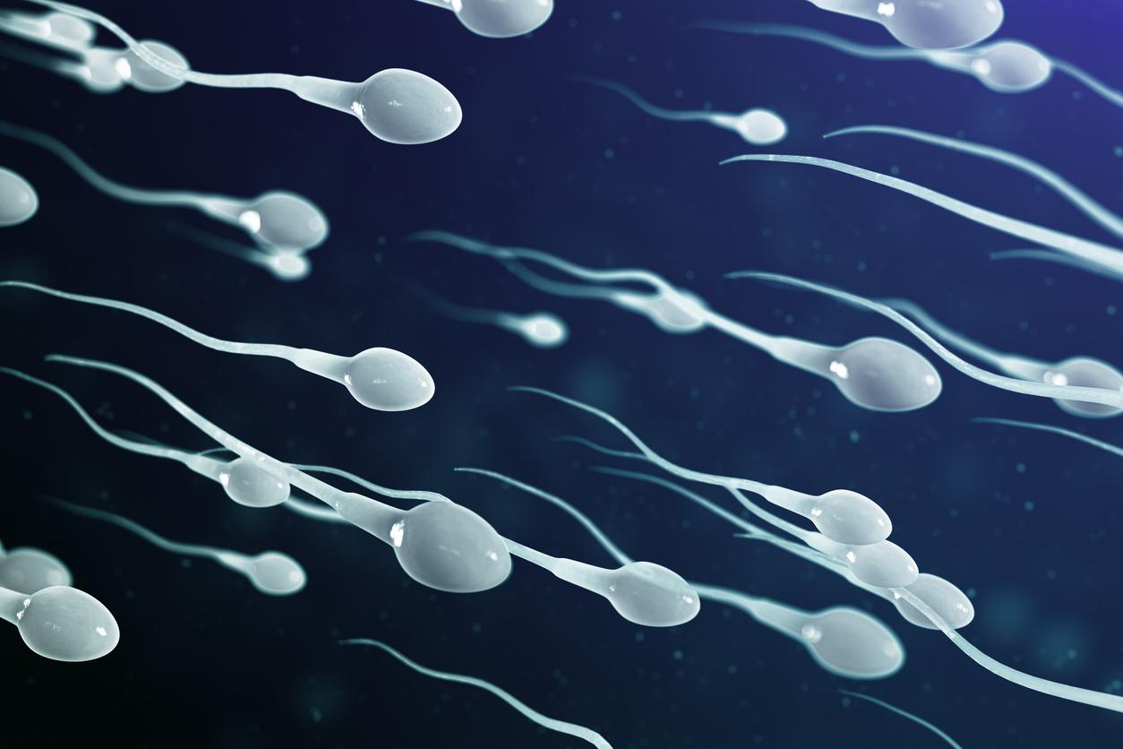 Infertilité masculine : la faute à des petites bulles dans le sperme ?