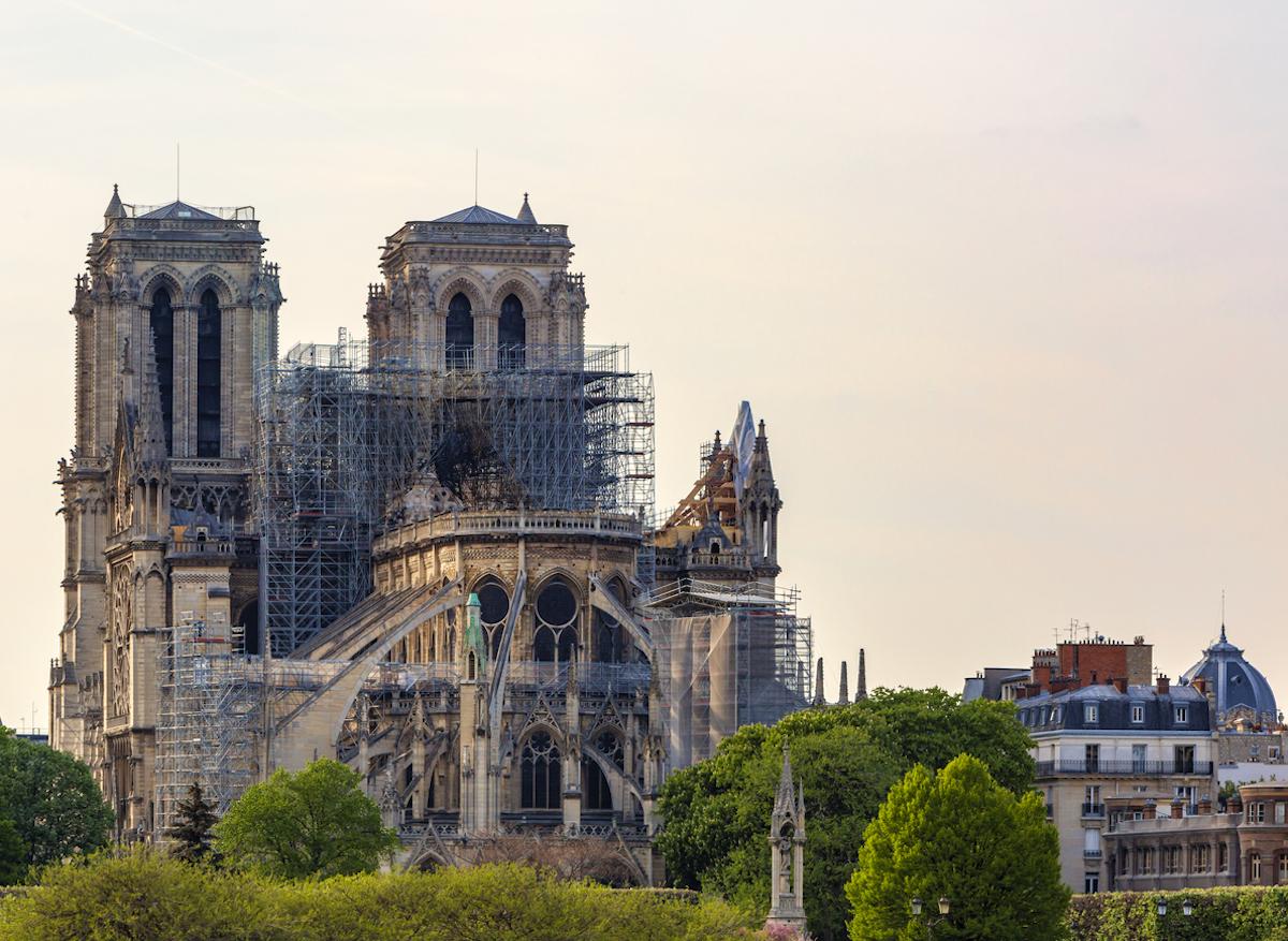 Incendie de Notre-Dame de Paris : du plomb détecté dans le sang d'un enfant