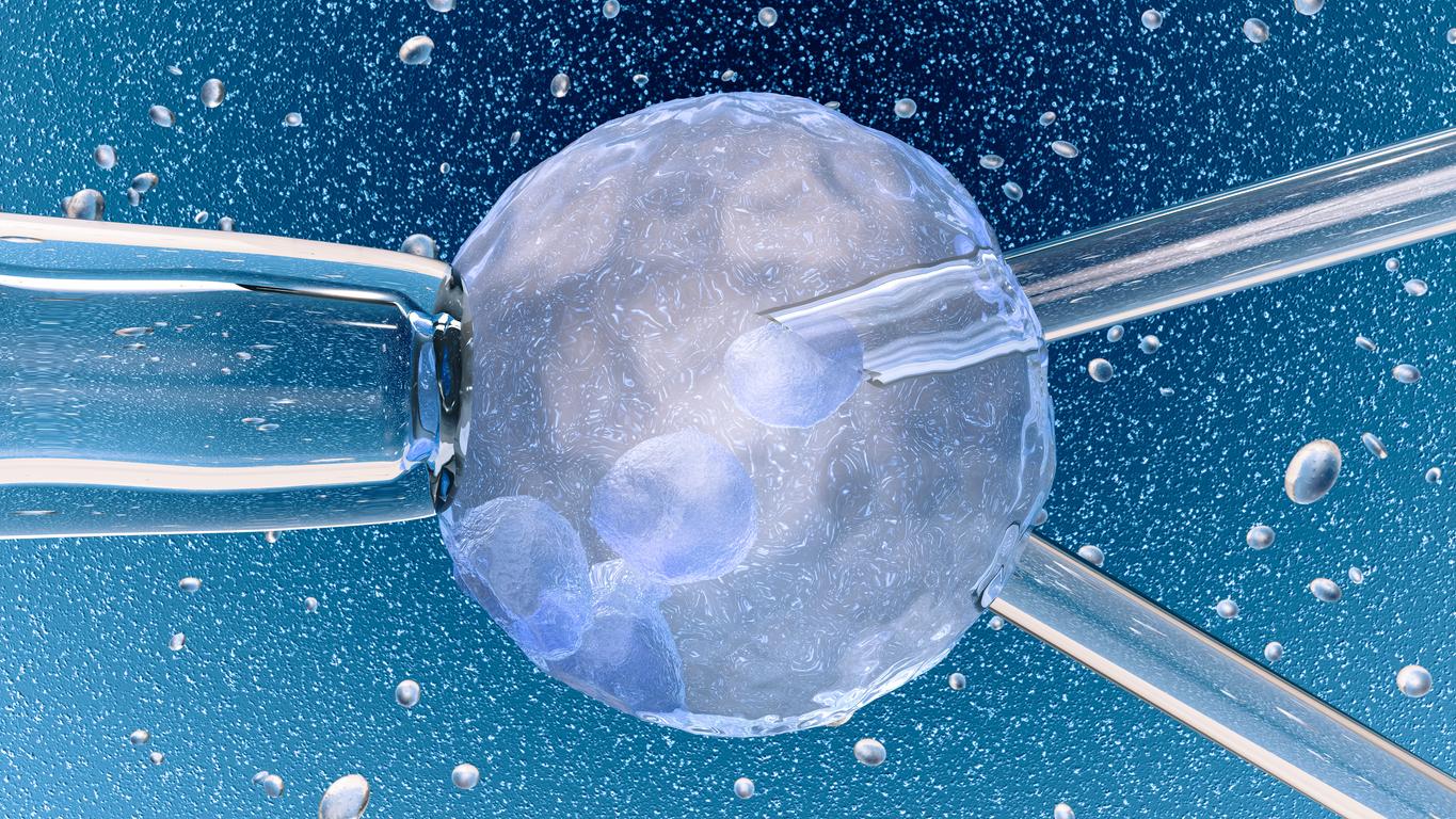 Cancers : les enfants nés d'un transfert d'embryons congelés plus à risque 