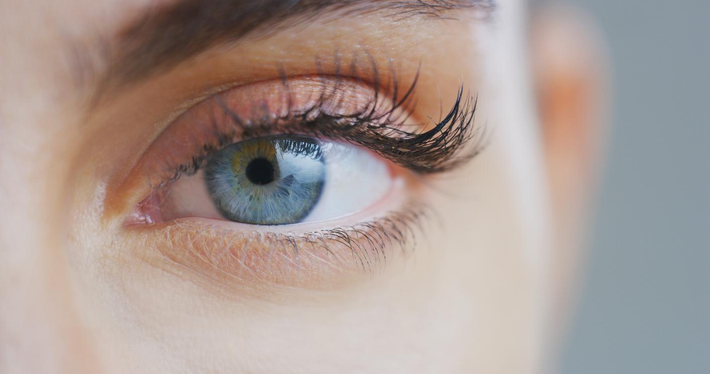 Fonctions cognitives : vos pupilles révèlent l'activité de votre cerveau
