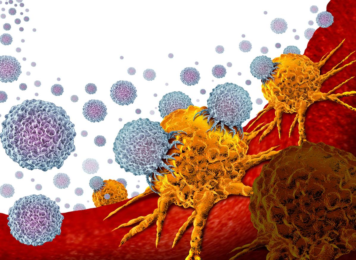 Les cellules qui repèrent les virus : comment mieux soigner de nombreuses maladies