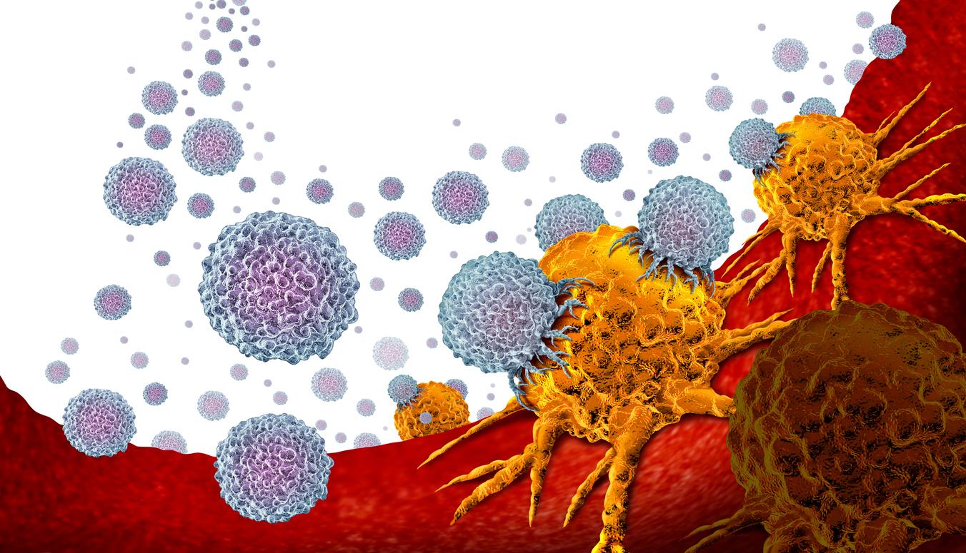 Immunothérapie : le chemin des lymphocytes tueurs de tumeurs a été identifié