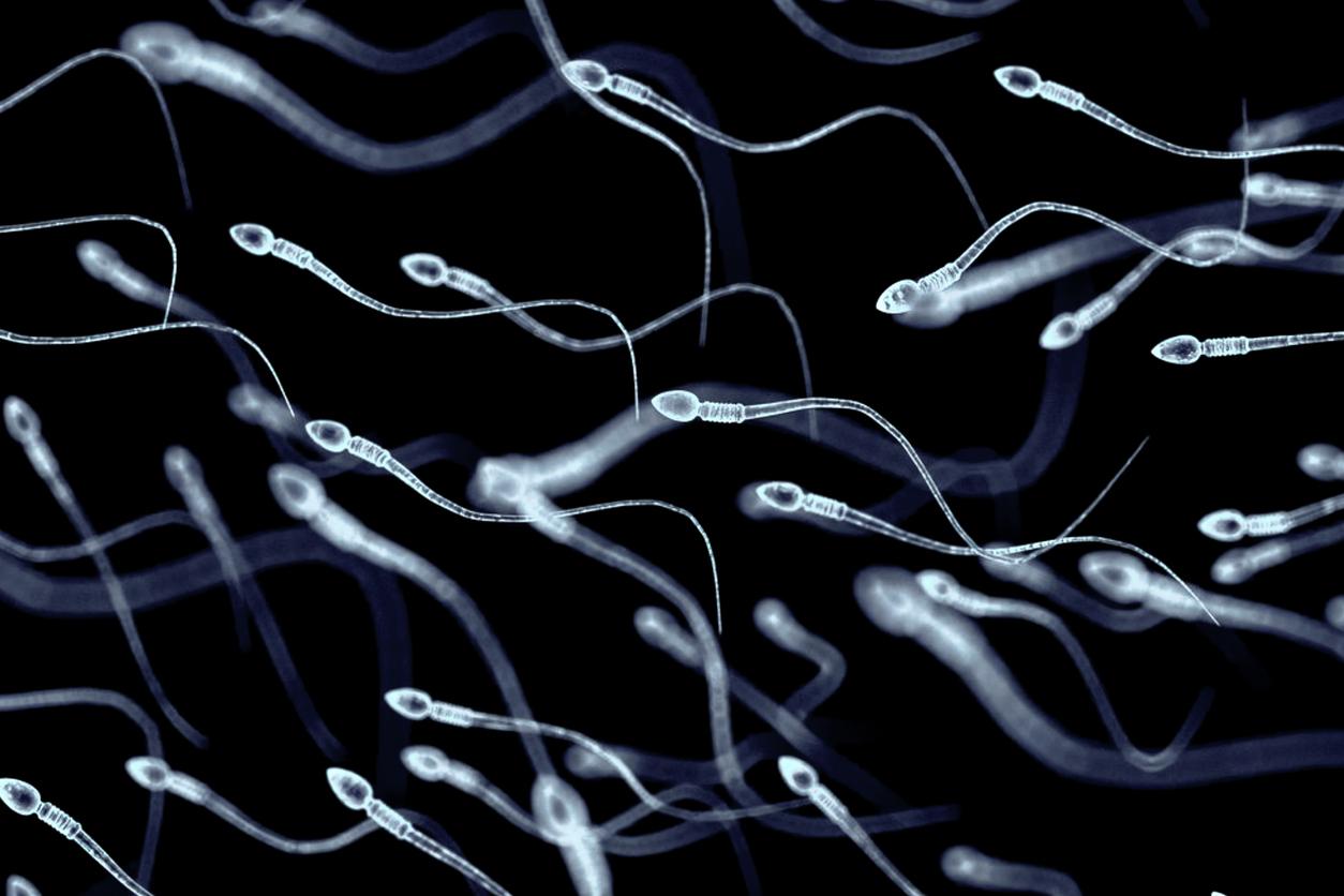 La qualité du sperme des Américains a considérablement baissé