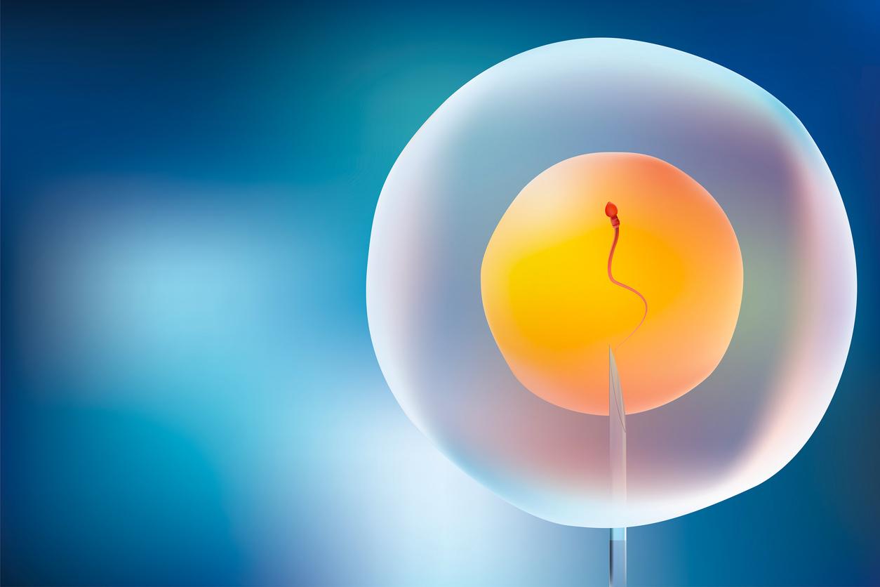 Y a-t-il un lien entre FIV et risque de cancer ? 