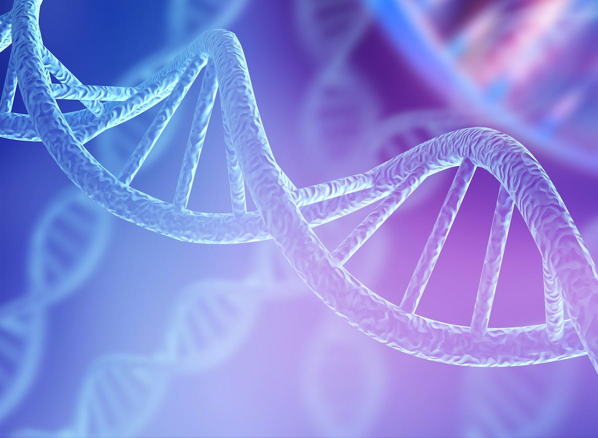 Les structures ADN à quatre hélices sont fréquentes dans le cancer du sein