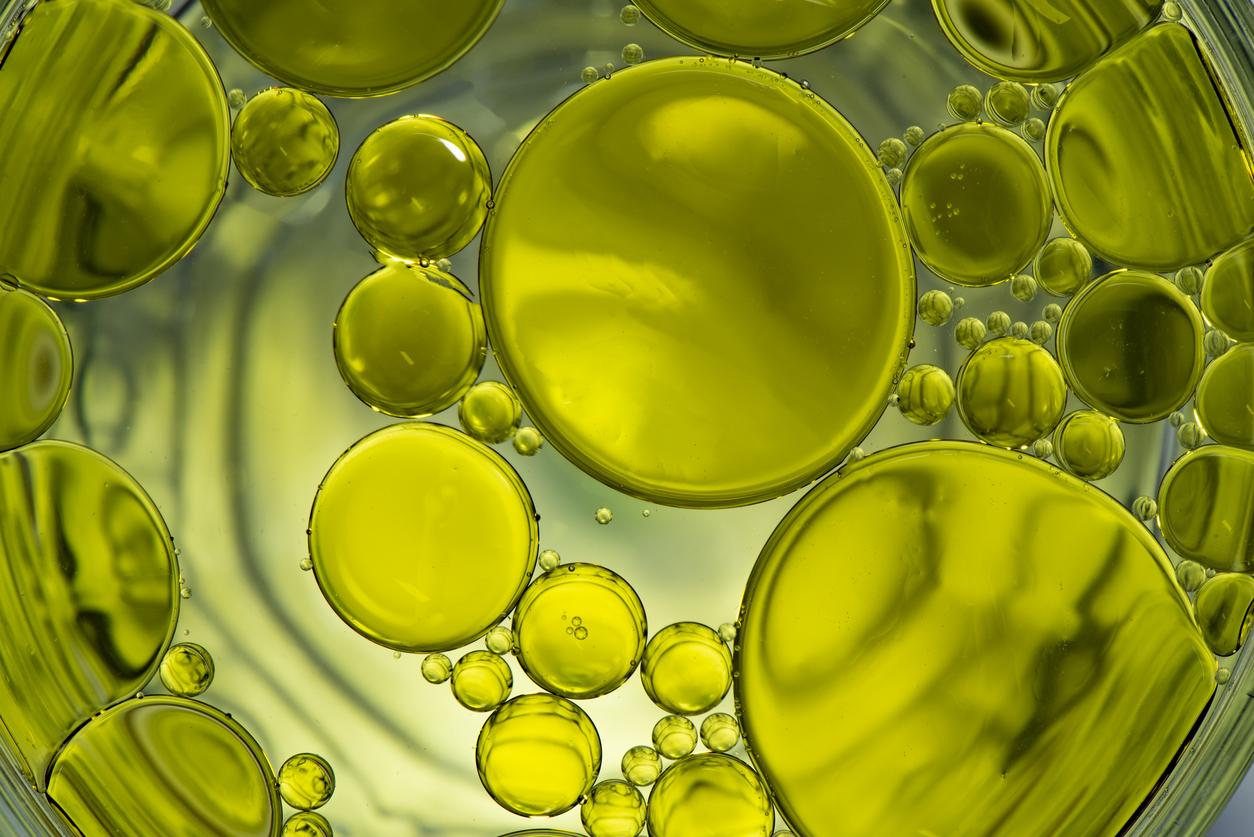 Cancer : pourquoi l’huile d’olive pourrait booster les traitements