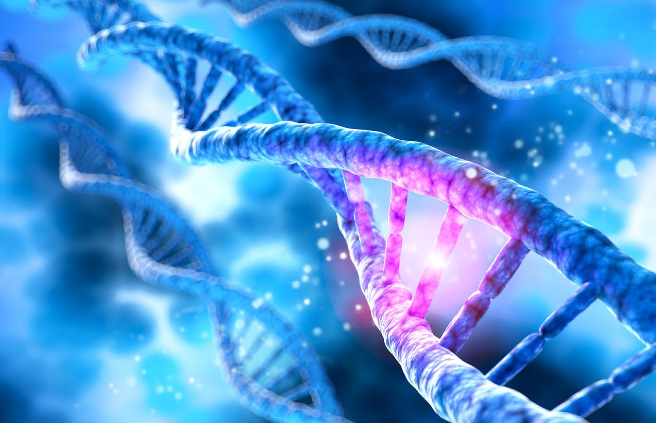 Sclérose en plaques : une mutation génétique accélère la progression de la maladie