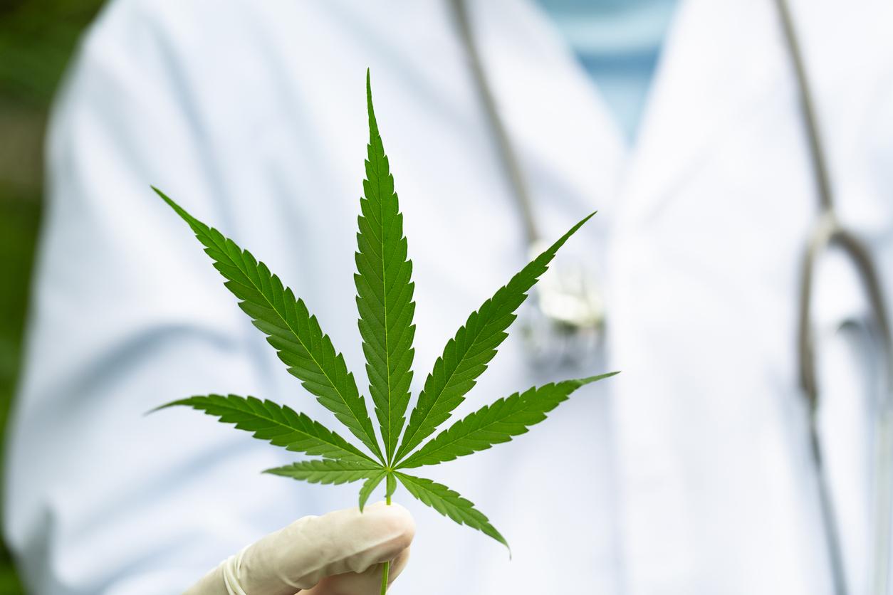 Cannabis médical : une bonne alternative aux opioïdes ?