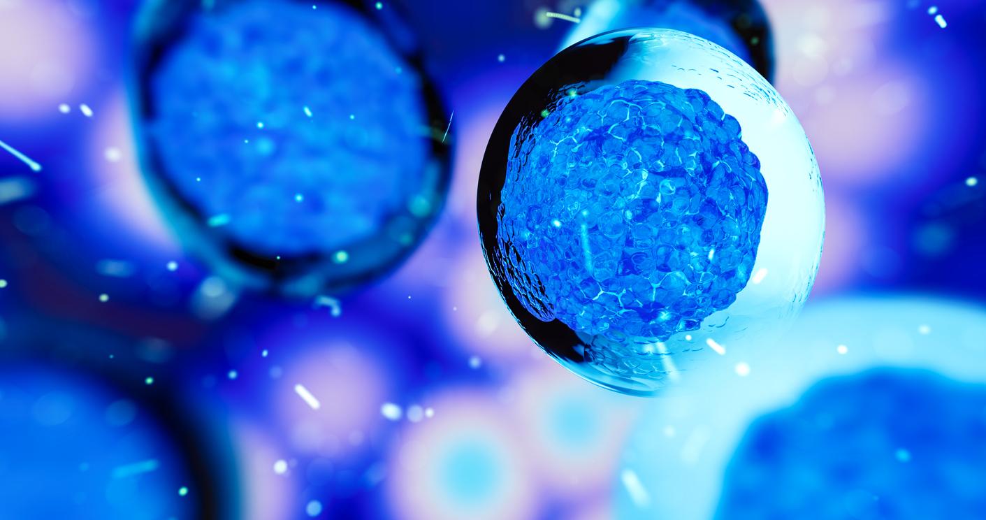 Un patient guérit du VIH après une greffe de cellules souches