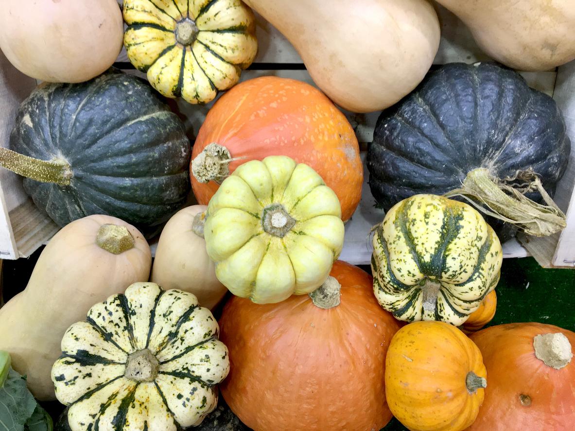 C’est la saison mais attention, certaines courges sont toxiques