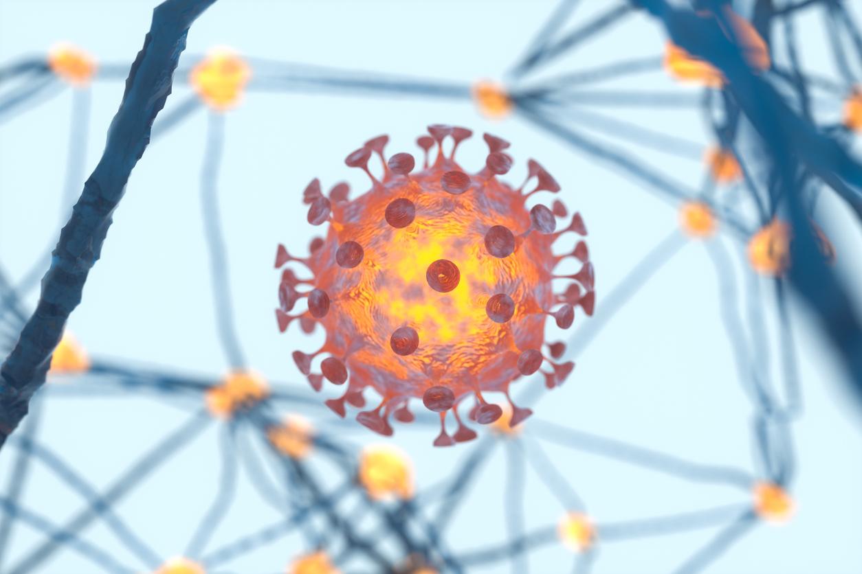 Le SARS-CoV-2 infecte le système nerveux central et endommage les tissus cérébraux