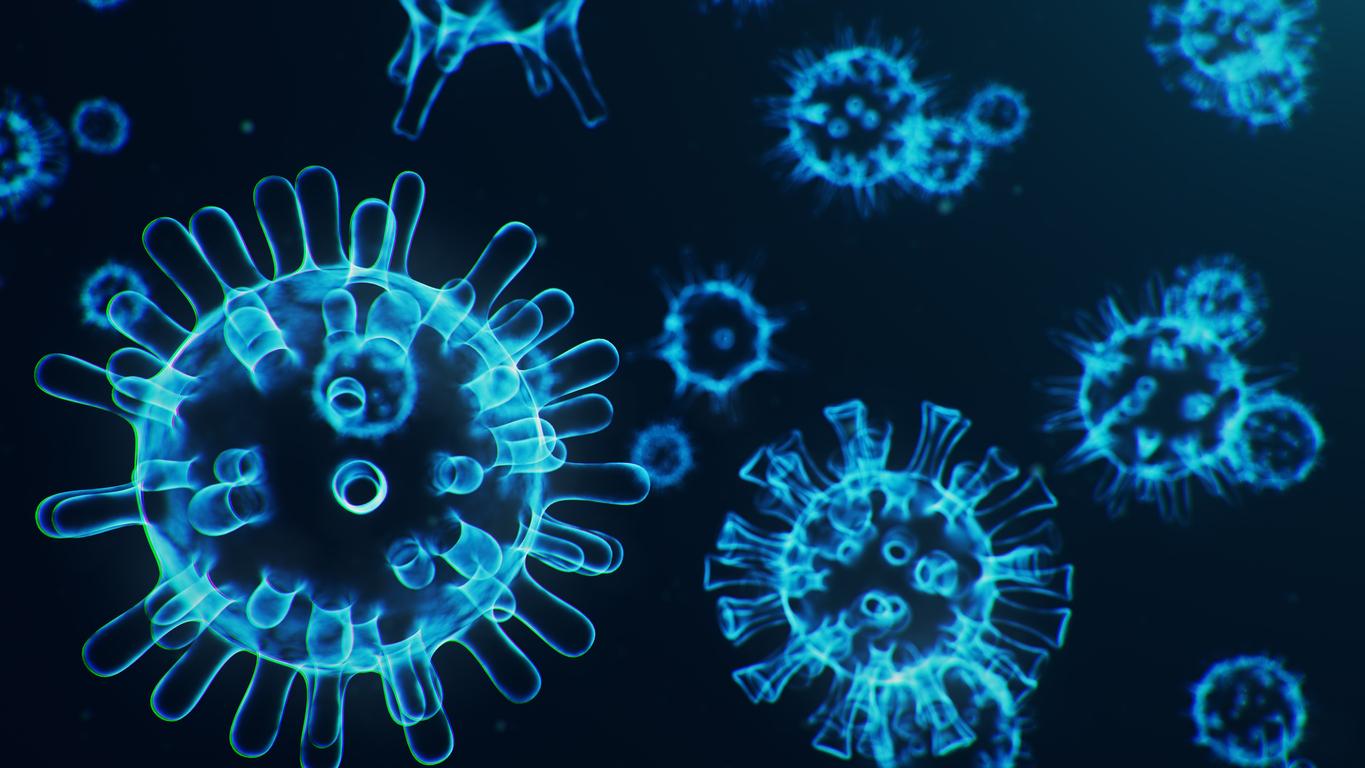 Coronavirus : ce que l'on sait et ce que l'on ignore encore sur le virus