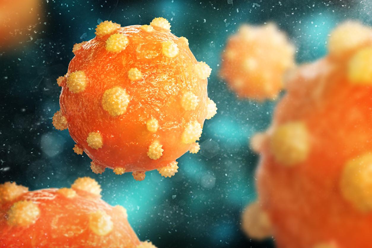 Le virus de l’hépatite B existe… depuis la Préhistoire 