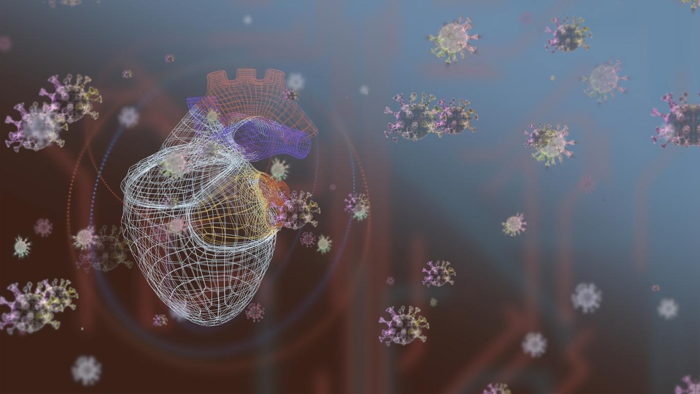 La Covid-19 fait vieillir les vaisseaux sanguins… surtout des femmes