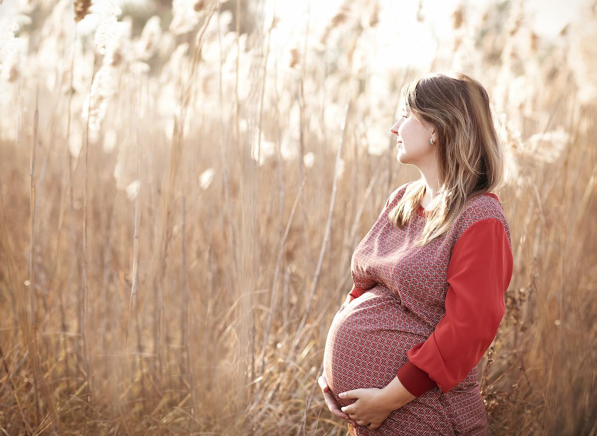 L’organe oublié qui garantit des grossesses saines 