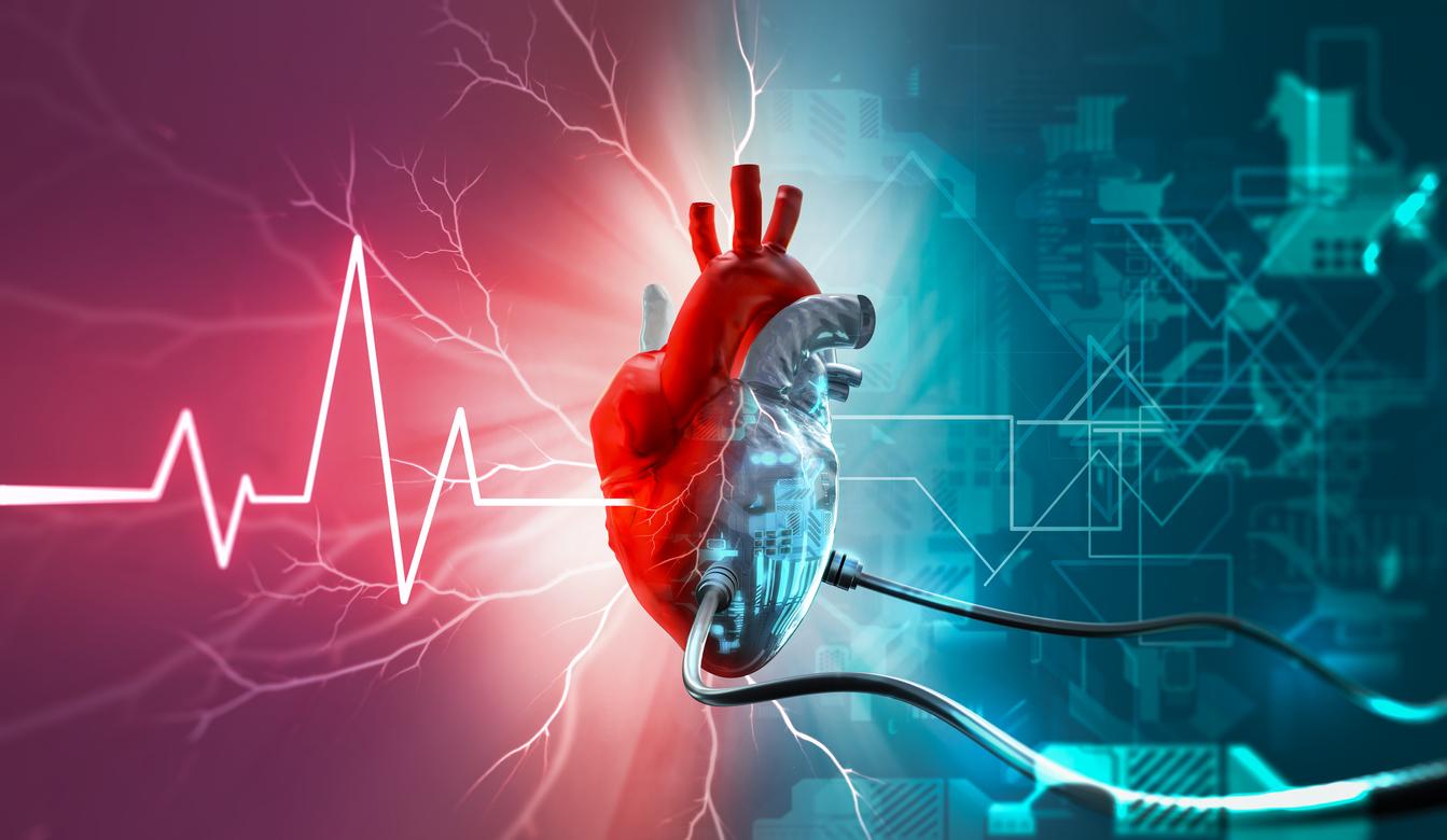 Un coeur artificiel s’adapte aux besoins des patients de façon autonome