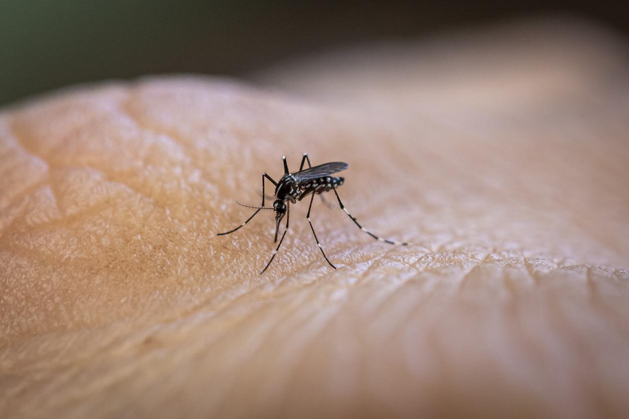 Pourquoi votre peau attire les moustiques ? 