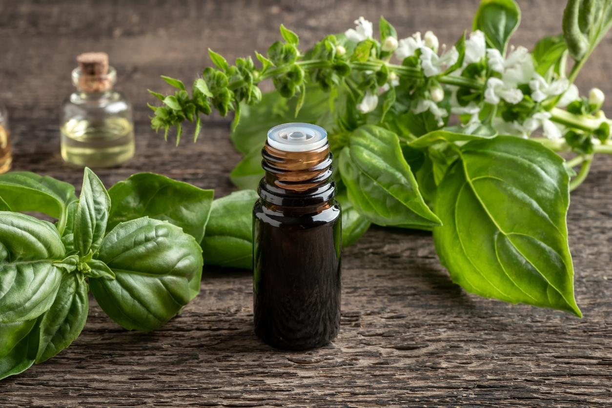 Basilic, fenouil, estragon : faut-il se méfier de certaines huiles essentielles ?