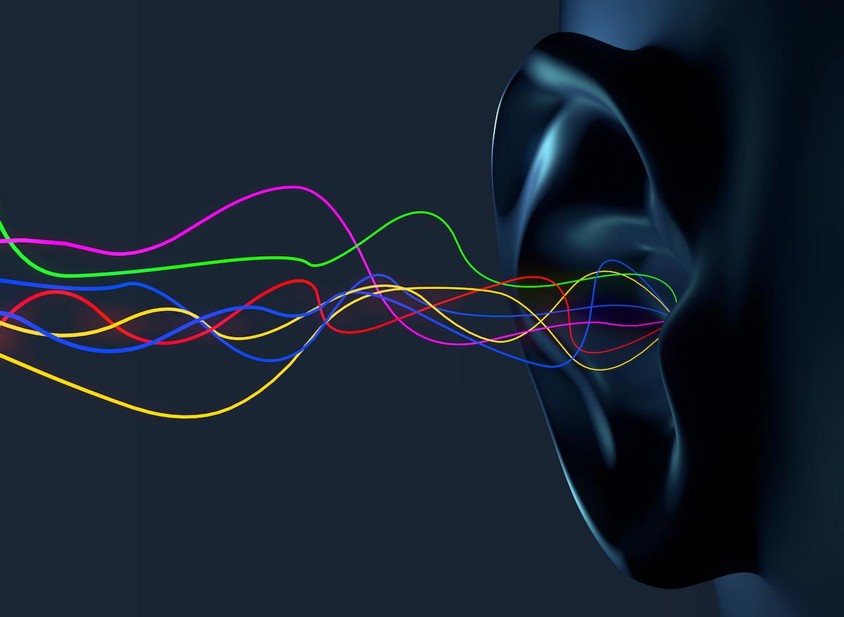 Cerveau : il traiterait simultanément les sons et la parole