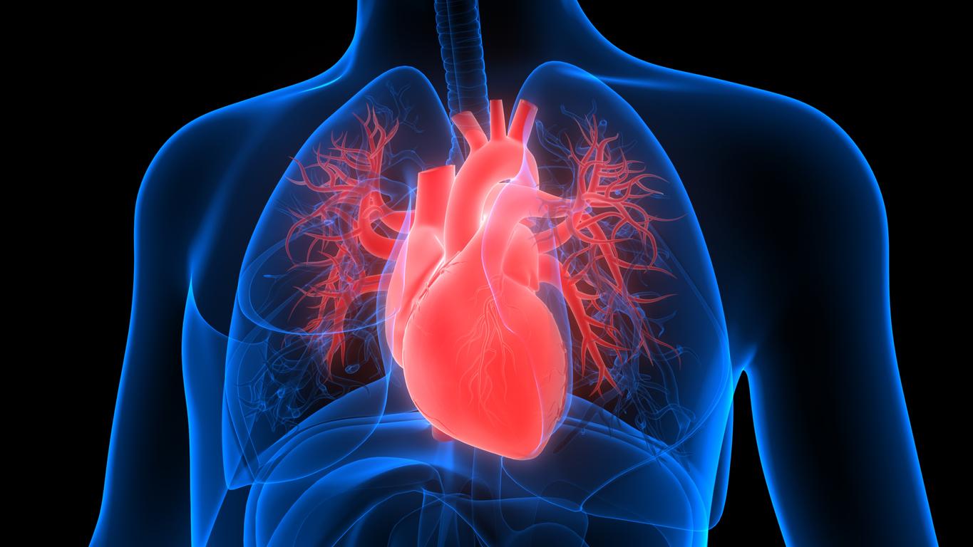 Qu'est-ce-que le syndrome métabolique cardio-rénal ?