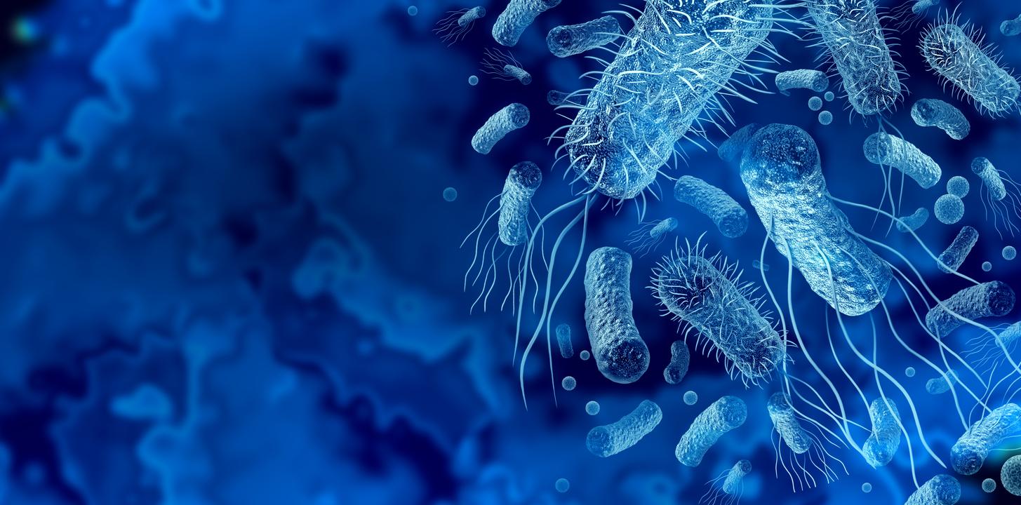 Aurait-on trouvé la parade à l’antibiorésistance ?