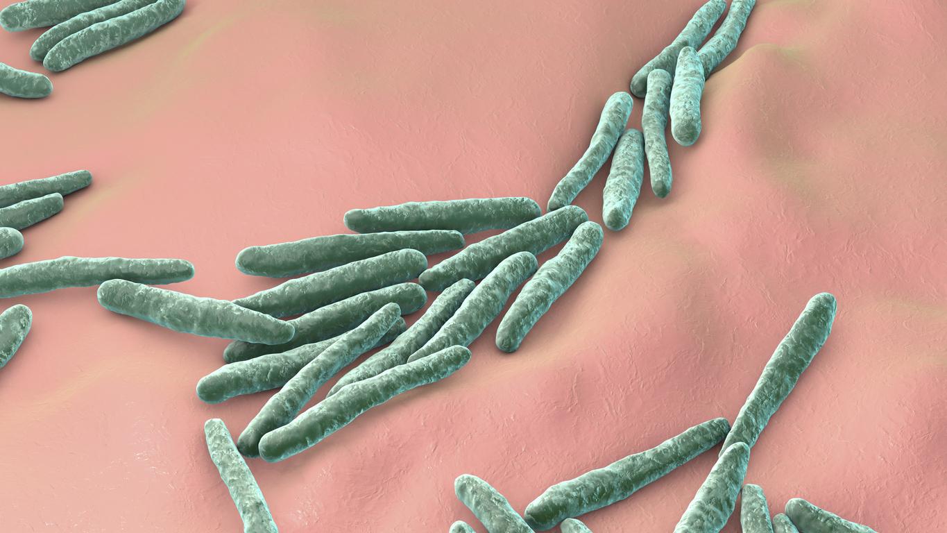 Antibiorésistance : quand les virus aident à tuer… les bactéries