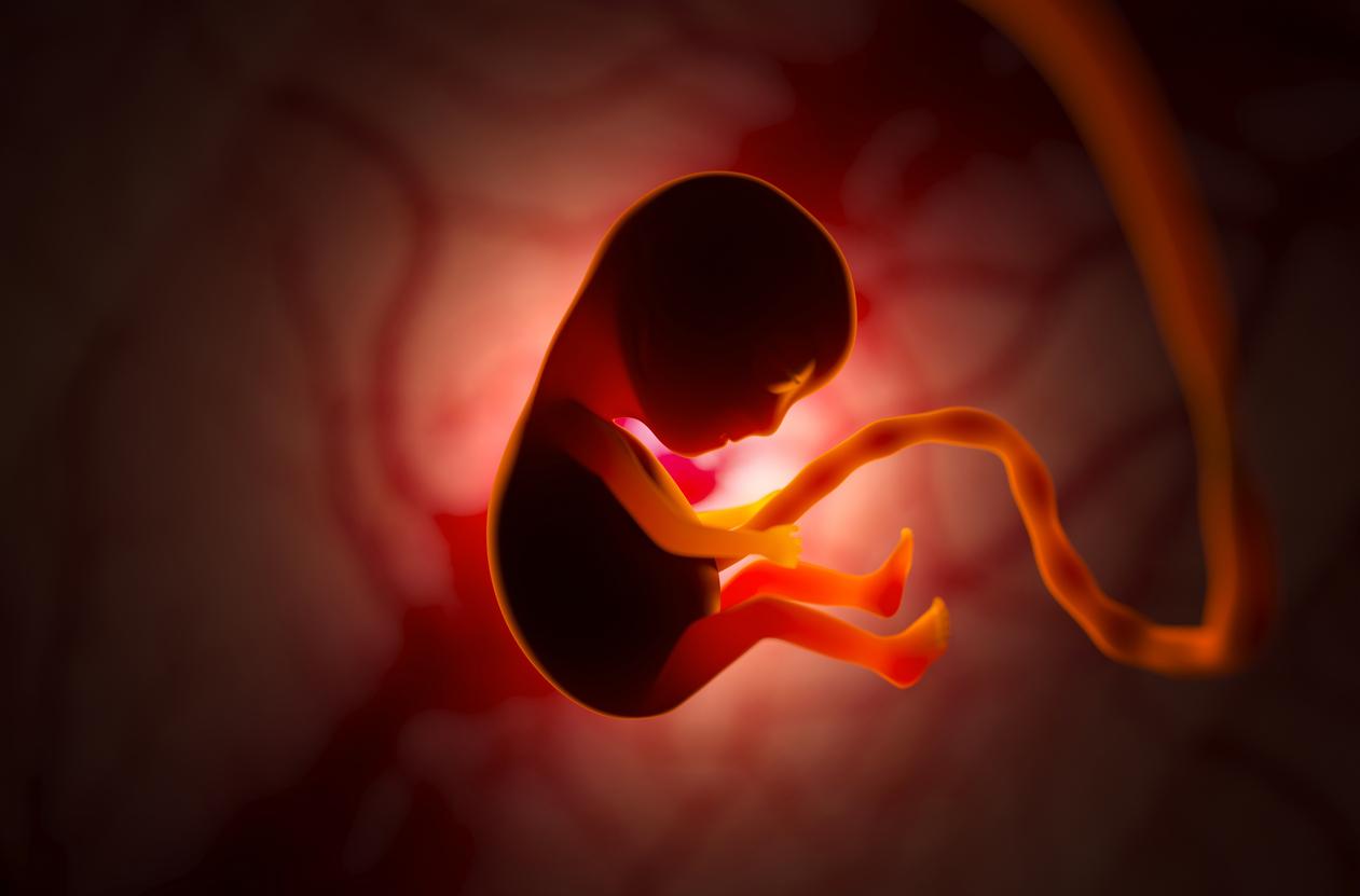 Grossesse : comment les températures impactent le fœtus ?