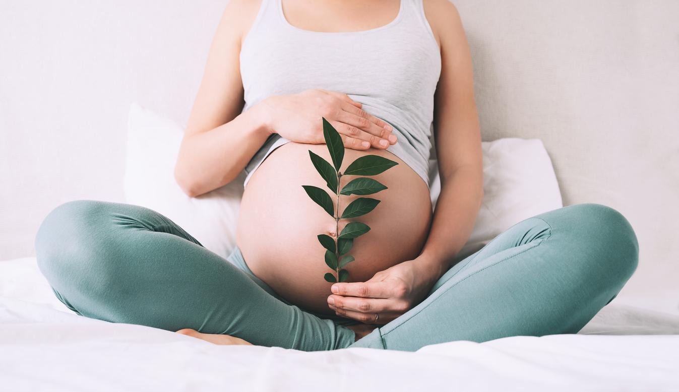 Pregnancy: even in small doses, cannabis harms the development of the fetus 