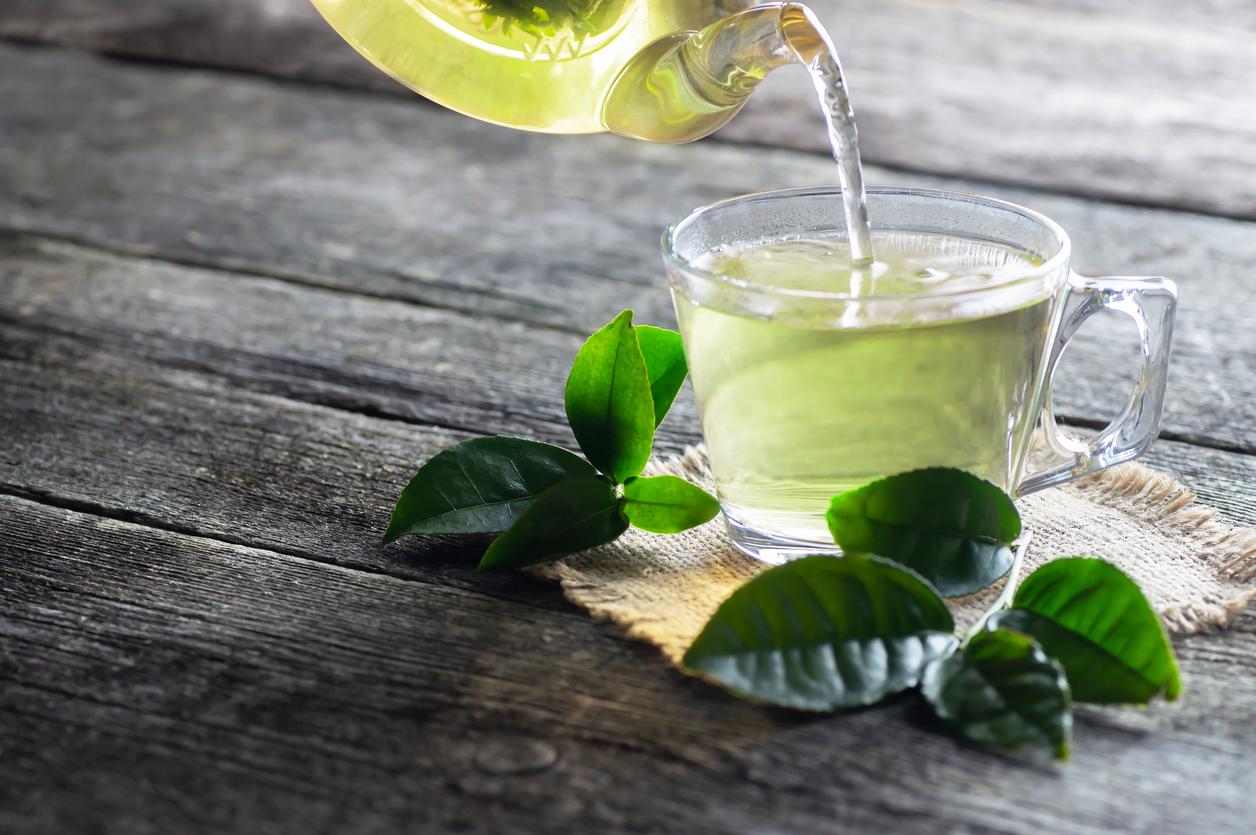 Fibrome utérin : un composé du thé vert pourrait aider à le traiter 