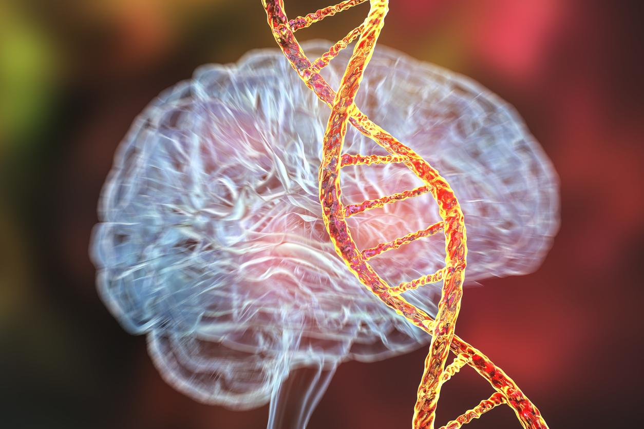 Une mutation génétique rare protègerait contre la maladie d'Alzheimer