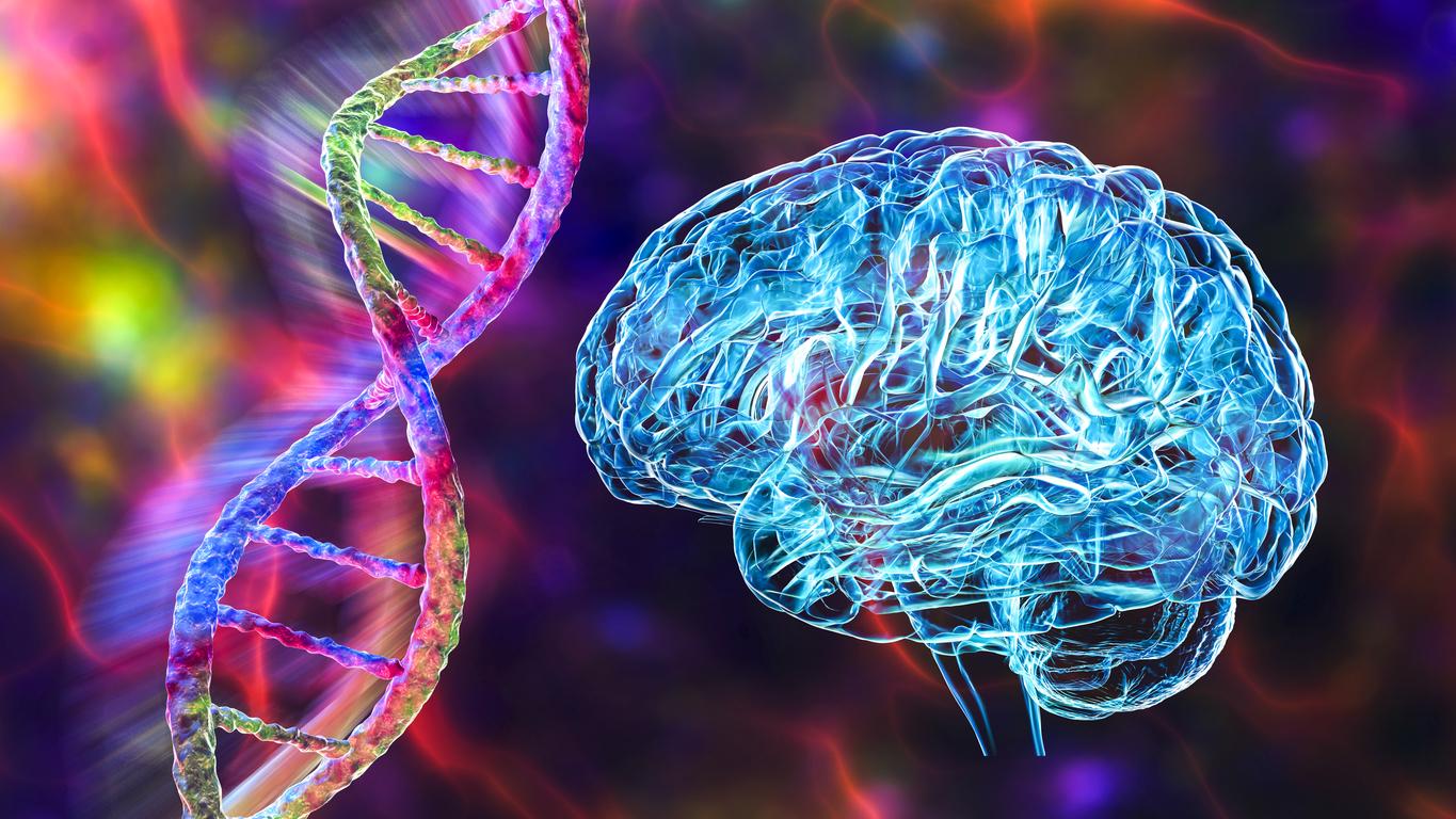 Maladie d'Alzheimer : le gène PDE4B, nouvelle cible thérapeutique ?