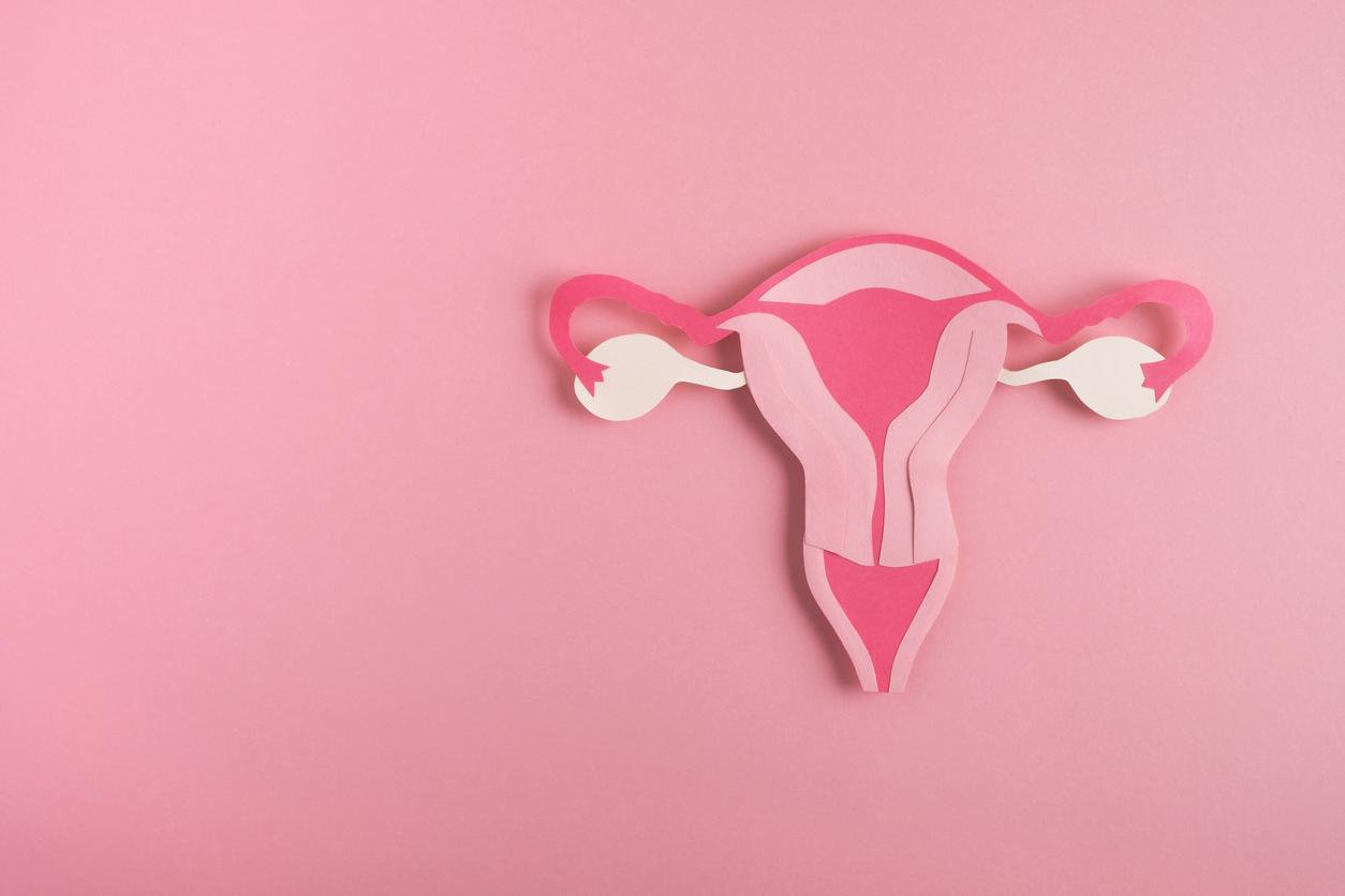 Cancer de l'ovaire : les troubles digestifs fréquents doivent vous amener à consulter