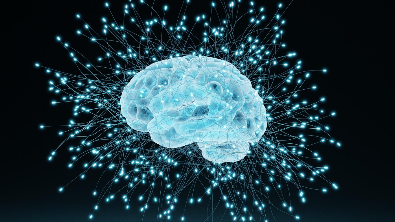 Cerveau : pourquoi nos souvenirs changent avec le temps ?