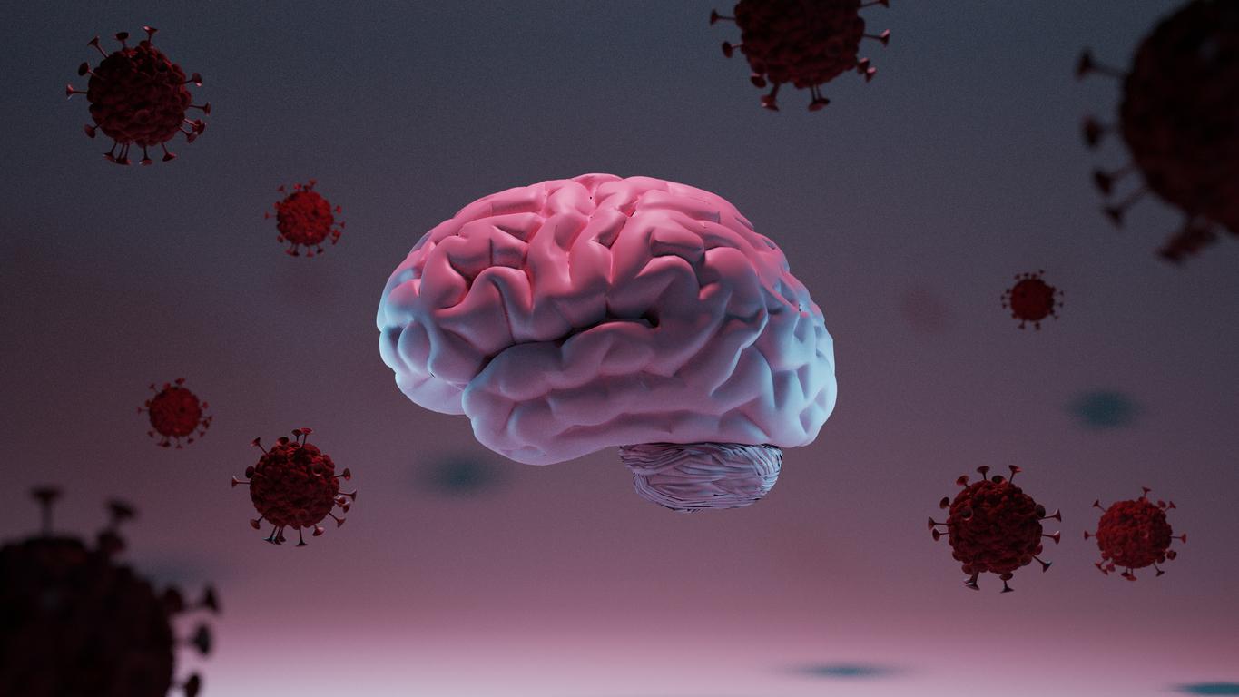 Covid-19 : le virus peut migrer vers le cerveau 