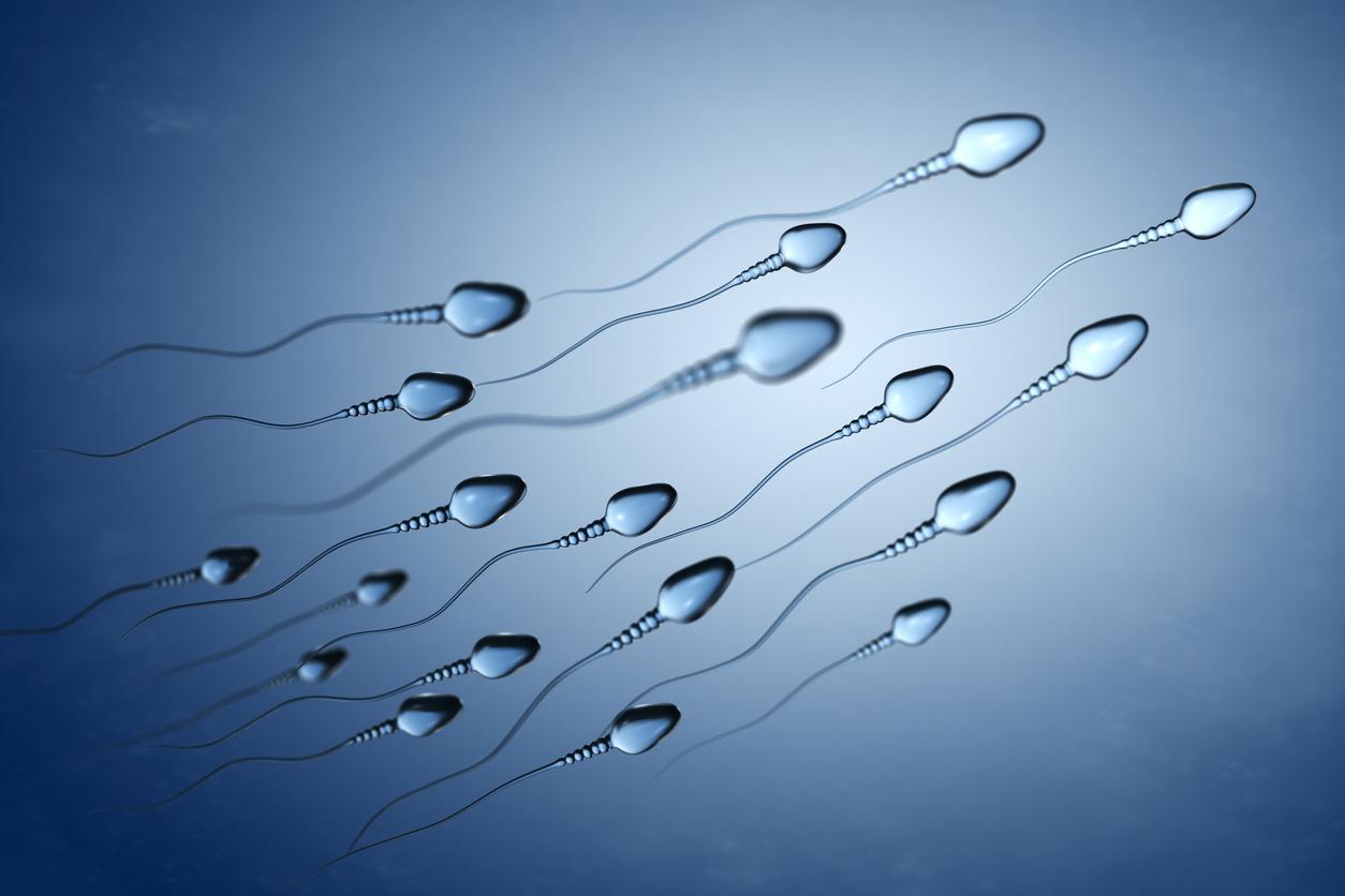Fertilité : la piste de spermatozoïdes robotisés pilotés vers les ovules