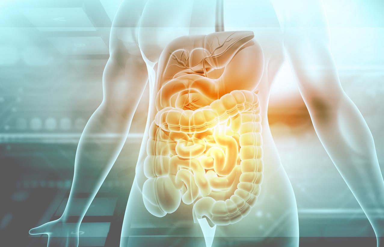 Cancer colorectal : cette maladie du foie fréquente favoriserait les métastases 