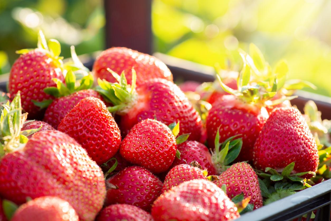 Manger des fraises améliore la santé mentale et cognitive
