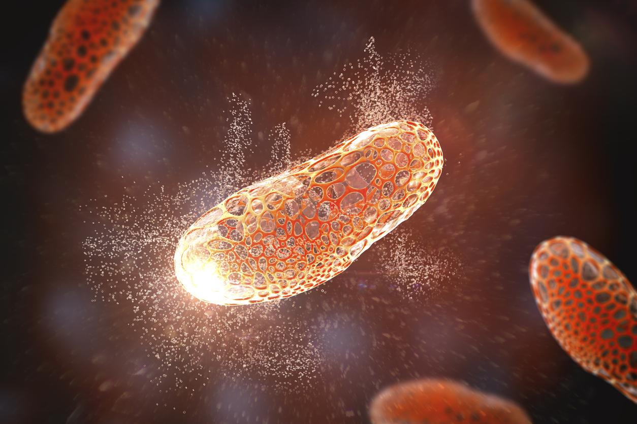 Infection bactérienne : un nouvel antibiotique découvert grâce à une IA