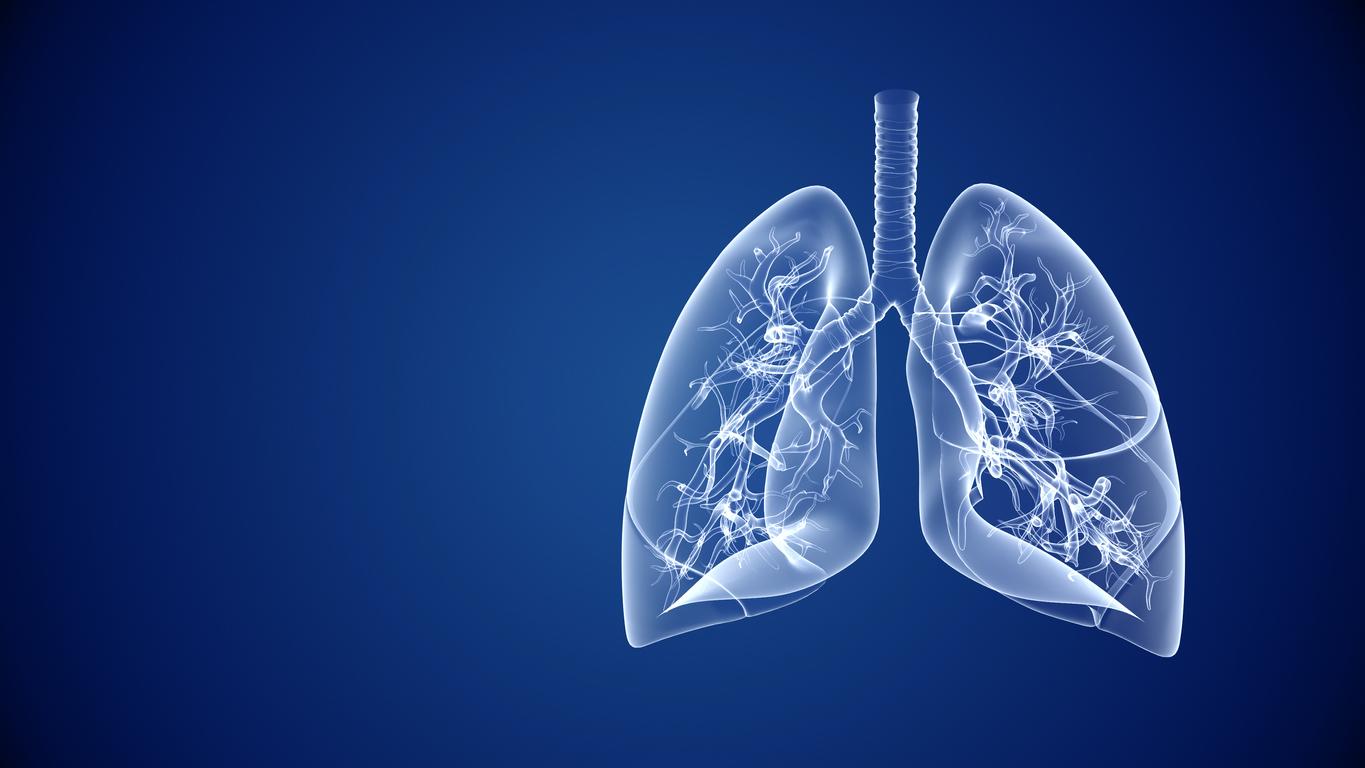 Développement pulmonaire : le rôle clé des cellules immunitaires avant la naissance