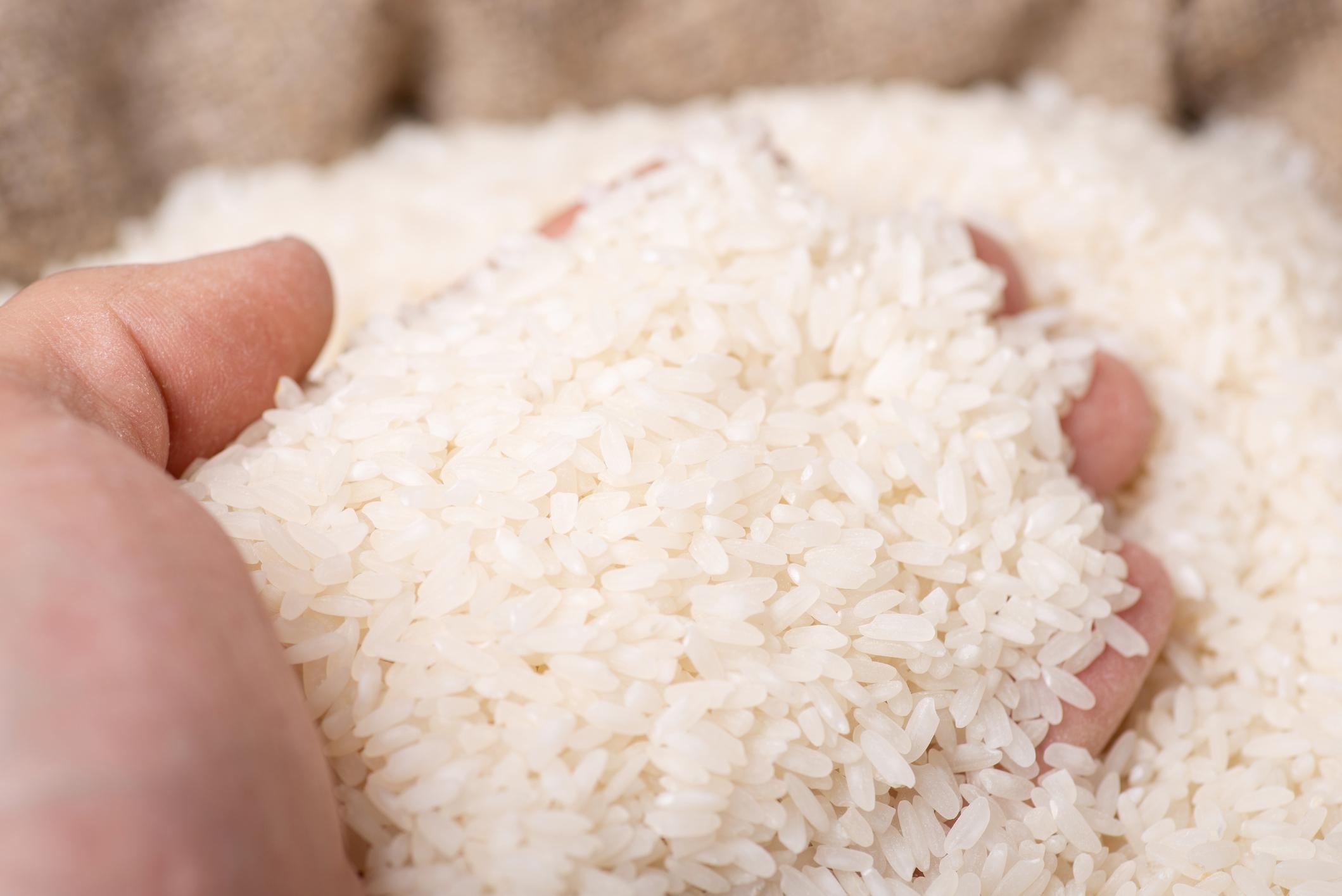 Rappel de produits : attention, ces paquets de riz pourraient contenir des larves vivantes 