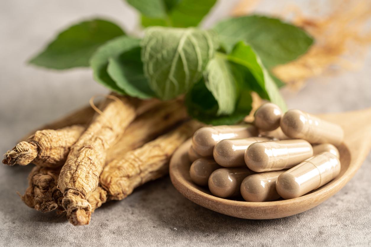Diabète : peut-on faire baisser la glycémie grâce aux plantes ?