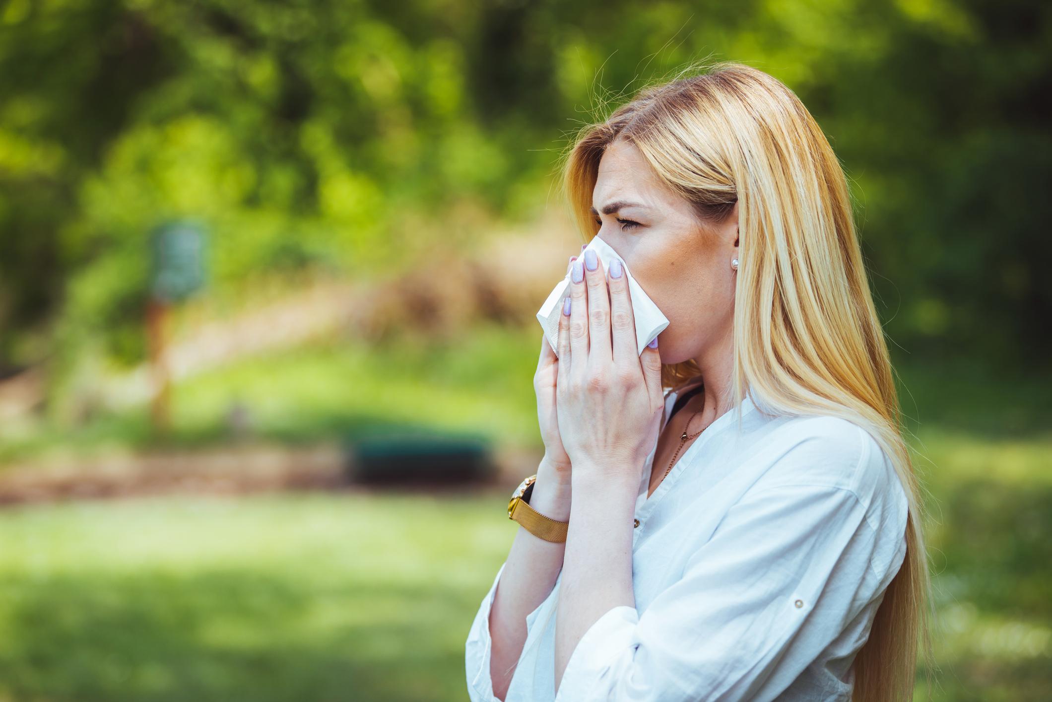 Allergies : la découverte de nouvelles cellules pourrait améliorer les traitements