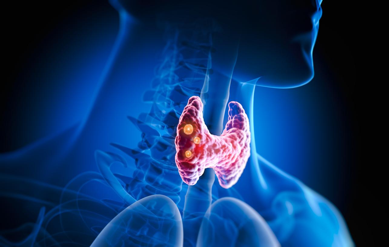 Une actrice de Grey’s Anatomy révèle être atteinte de la maladie de Hashimoto