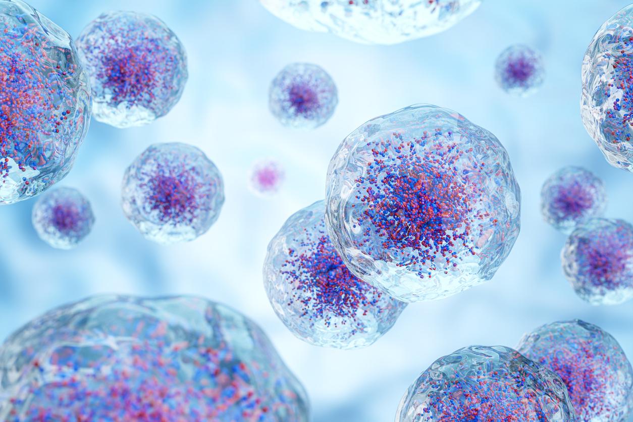 Des molécules vibrantes peuvent tuer 99% des cellules cancéreuses